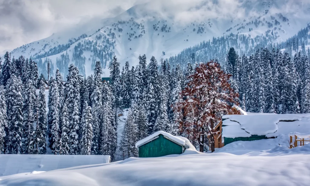 Kashmir – Winter